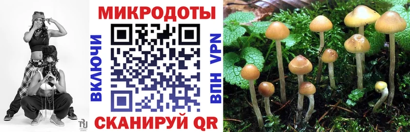 Купить закладки Георгиевск Галлюциногенные грибы мицелий